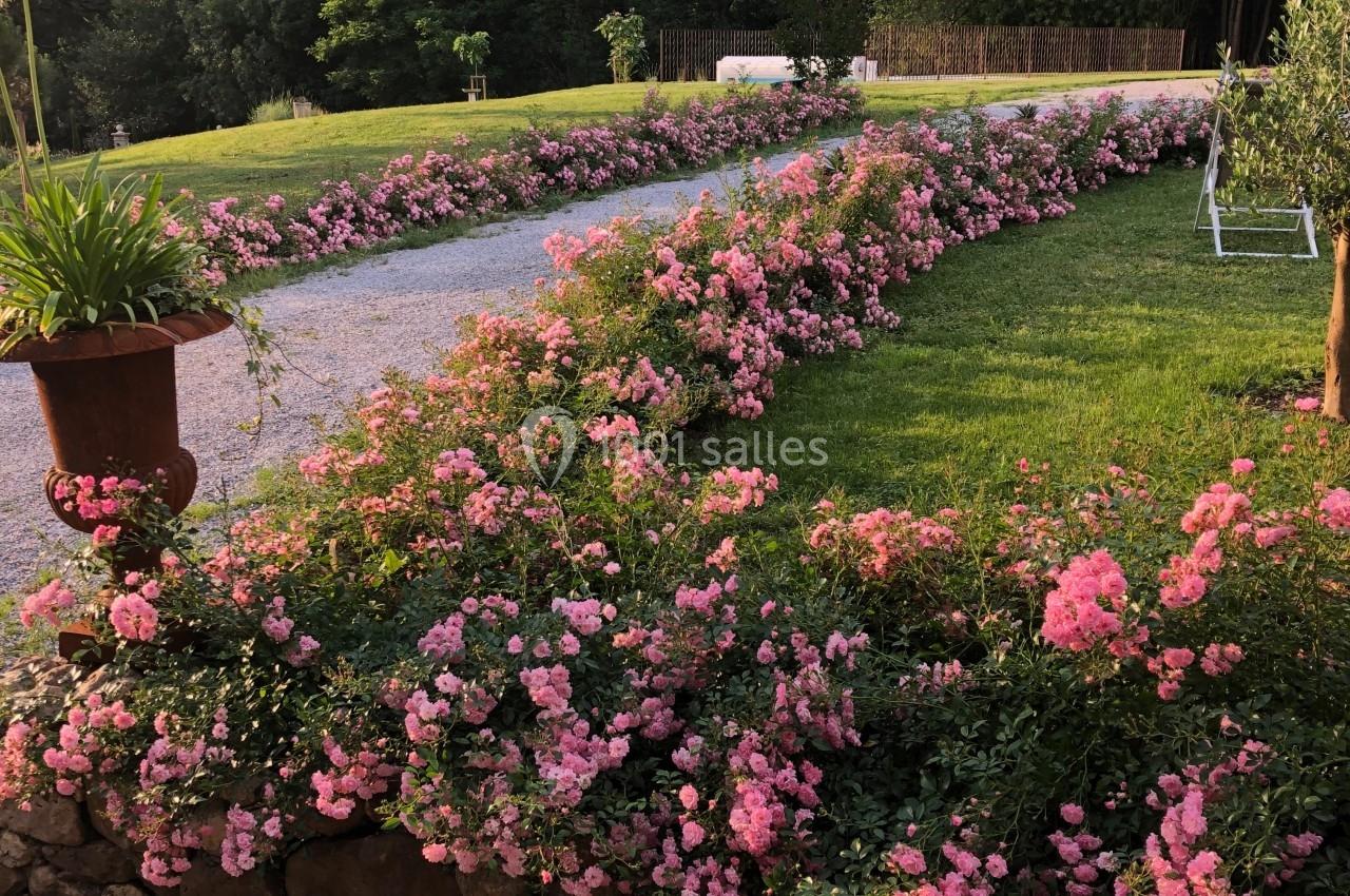 Allée de gravier bordée de rosiers roses en fleurs, entourée de pelouse et d'arbres en arrière-plan.