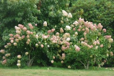 Location salle Quimper (Finistère) - Le Manoir Hôtel des Indes #23