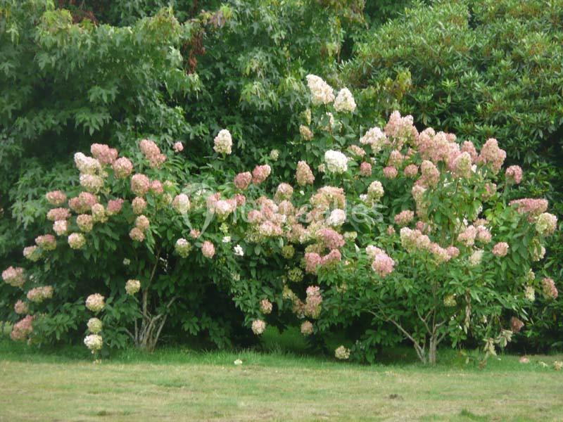 Location salle Quimper (Finistère) - Le Manoir Hôtel des Indes #15