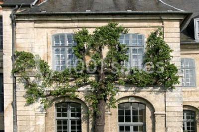 Location salle Argoules (Somme) - Abbaye De Valloires #24
