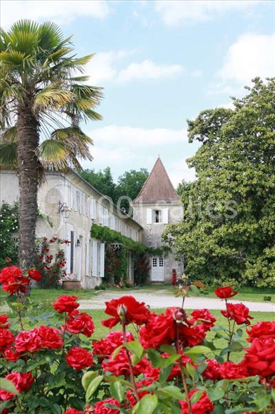 Location salle Léoville (Charente-Maritime) - Château De Puyrigaud #4