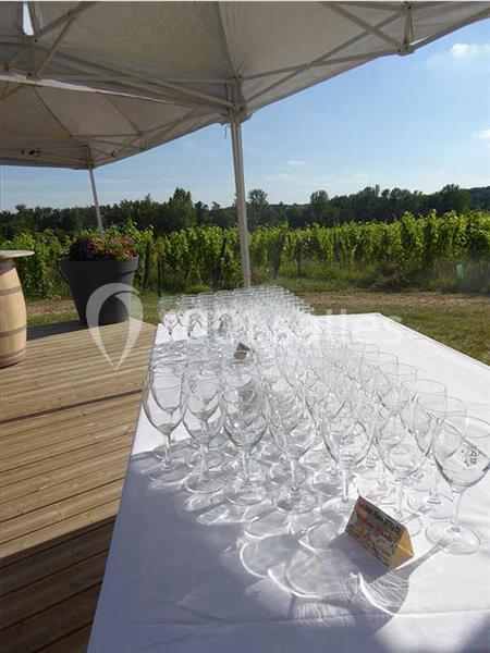 Location salle Buzet-sur-Baïse (Lot-et-Garonne) - La Parenthèse De Bacchus #2