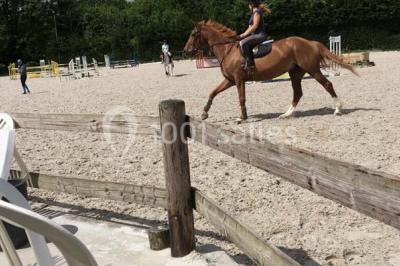 Salle de restaurant lumineuse avec table dressée, grandes fenêtres donnant sur un jardin et murs en briques.