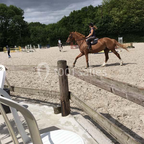 Une cavalière monte un cheval au trot dans une carrière d'équitation entourée de barrières en bois.