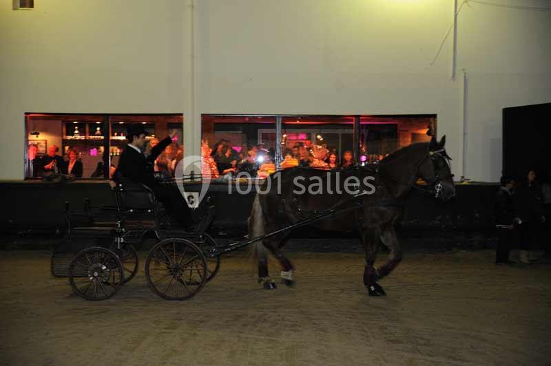 Un cheval tire une calèche conduite par une personne dans une salle éclairée, avec des spectateurs en arrière-plan.