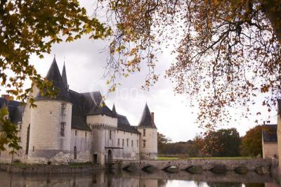 Location salle Écuillé (Maine-et-Loire) - Château Du Plessis Bourre #15