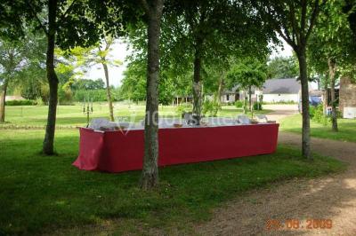 Location salle Écuillé (Maine-et-Loire) - Château Du Plessis Bourre #15