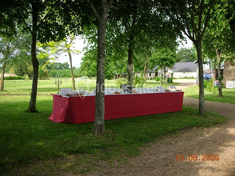 Location salle Écuillé (Maine-et-Loire) - Château Du Plessis Bourre #11