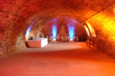 Location salle Feneu (Maine-et-Loire) - Château Du Plessis Bourre #15