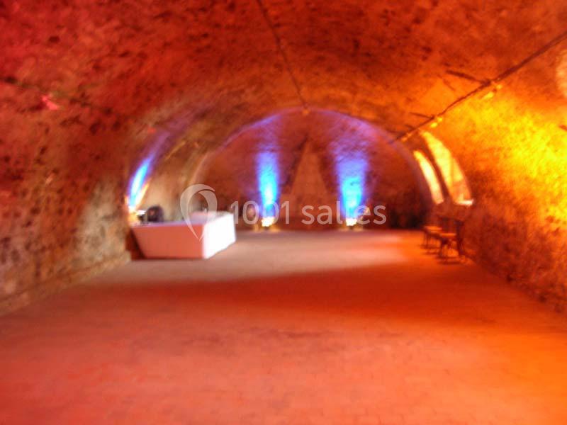 Location salle Feneu (Maine-et-Loire) - Château Du Plessis Bourre #7