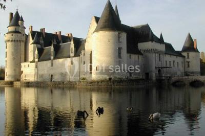 Location salle Feneu (Maine-et-Loire) - Château Du Plessis Bourre #15