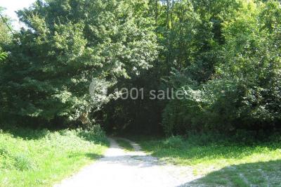 Location salle Pressins (Isère) - Espace Pressinois #16