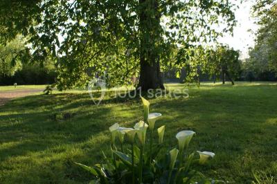 Location salle Cesson-Sévigné (Ille-et-Vilaine) - Domaine de la Vallée #11