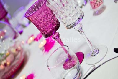 Location salle Sorigny (Indre-et-Loire) - Le Domaine de Thais #24