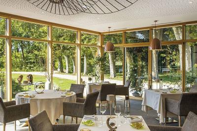 Accueil d'un spa avec comptoir en bois, fauteuils, étagère de produits, et décoration évoquant un arbre.