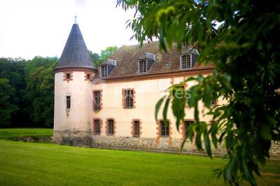 Location salle Chevillon (Yonne) - Château de Chevillon #14