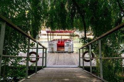 Intérieur élégant avec décorations classiques, horloge, miroir, fleurs et cage décorative dans une lumière tamisée.