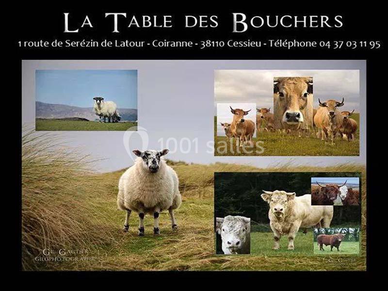 Photomontage d'animaux de ferme, principalement des moutons et des vaches, dans des paysages naturels.
