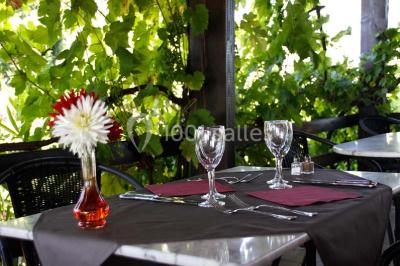 Location salle Moissac (Tarn-et-Garonne) - Hôtel des Crêtes de Pignols #23