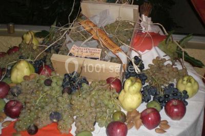 Location salle Moissac (Tarn-et-Garonne) - Hôtel des Crêtes de Pignols #23