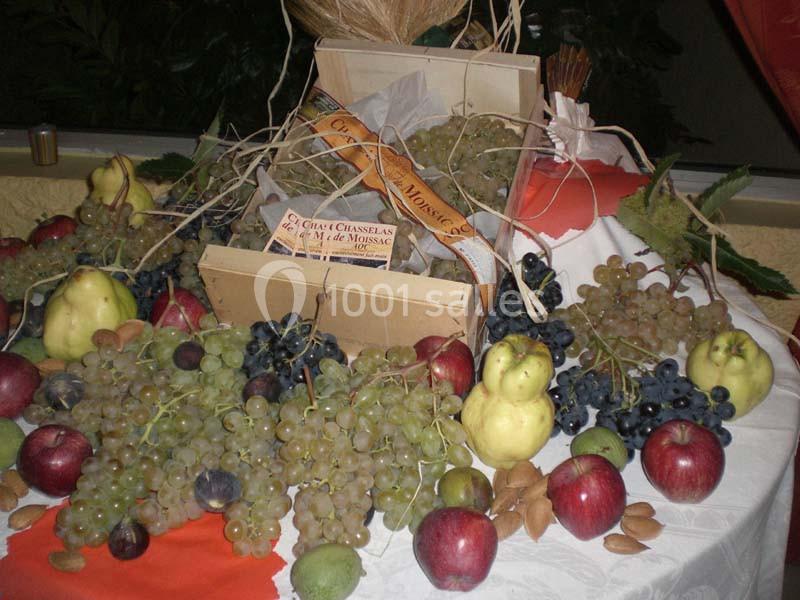 Location salle Moissac (Tarn-et-Garonne) - Hôtel des Crêtes de Pignols #13