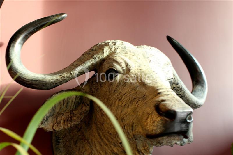 Location salle Boulogne-Billancourt (Hauts-de-Seine) - Meating Bar à Viande #6