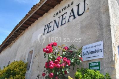 Champ de vignes baigné par la lumière dorée d'un coucher de soleil, avec des arbres et des bâtiments en arrière-plan.