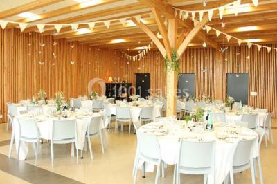 Champ de vignes baigné par la lumière dorée d'un coucher de soleil, avec des arbres et des bâtiments en arrière-plan.