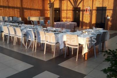 Champ de vignes baigné par la lumière dorée d'un coucher de soleil, avec des arbres et des bâtiments en arrière-plan.