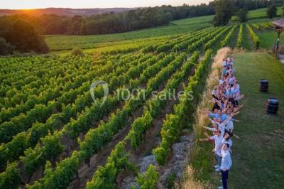 Champ de vignes baigné par la lumière dorée d'un coucher de soleil, avec des arbres et des bâtiments en arrière-plan.