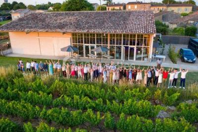 Champ de vignes baigné par la lumière dorée d'un coucher de soleil, avec des arbres et des bâtiments en arrière-plan.