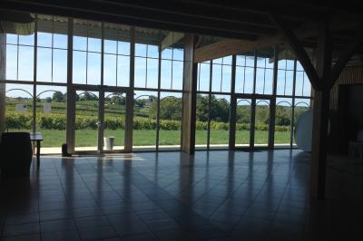Champ de vignes baigné par la lumière dorée d'un coucher de soleil, avec des arbres et des bâtiments en arrière-plan.