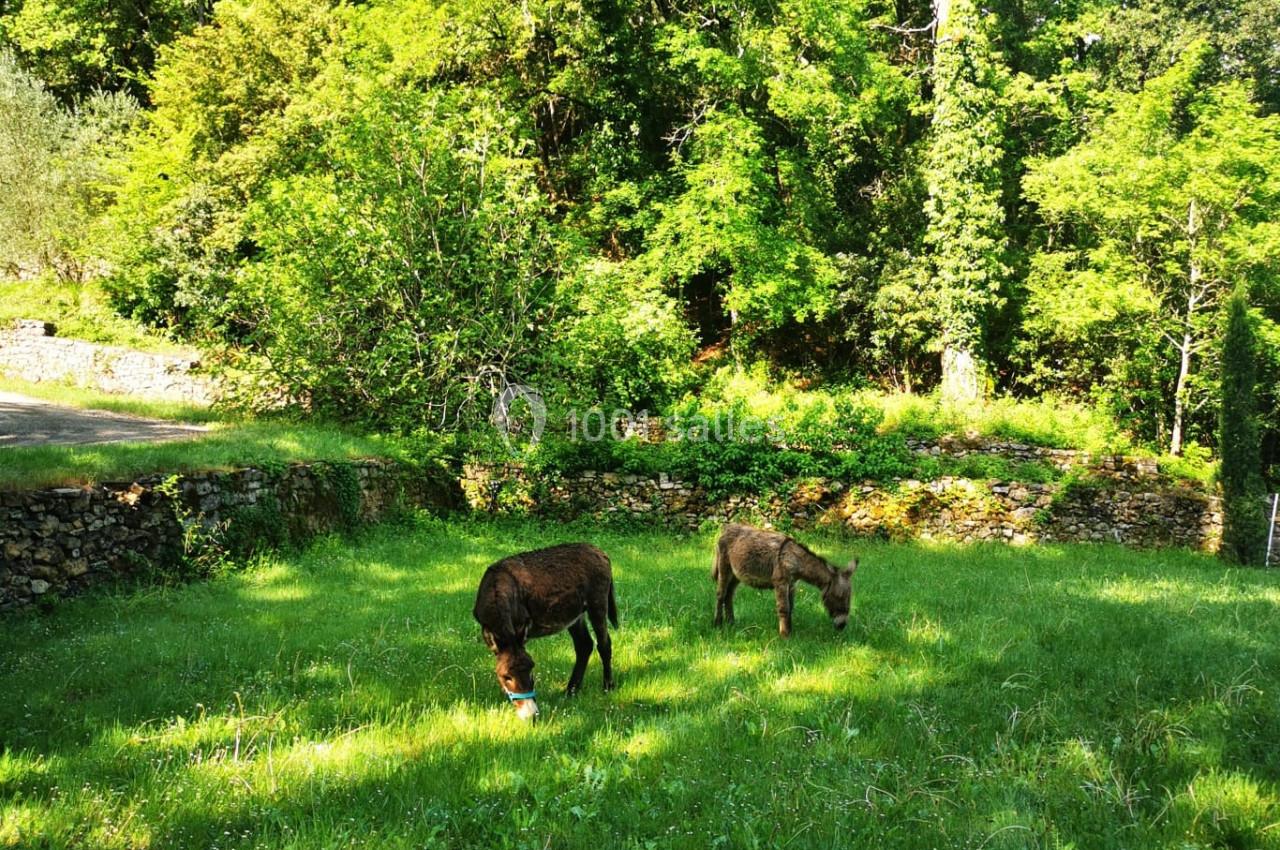 Location salle Méounes-lès-Montrieux (Var) - Montrieux Le Hameau #14