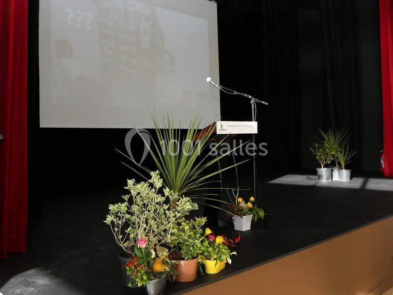 Scène avec micro sur pupitre, écran de projection en arrière-plan et plantes décoratives au premier plan.