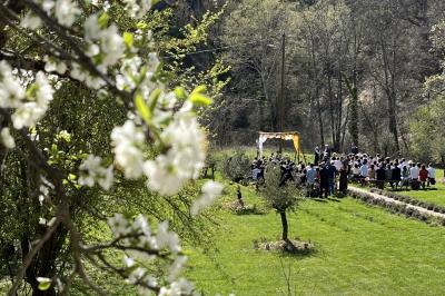 Des personnes discutent autour d'une table en tonneau, partageant des viennoiseries dans un cadre extérieur verdoyant.