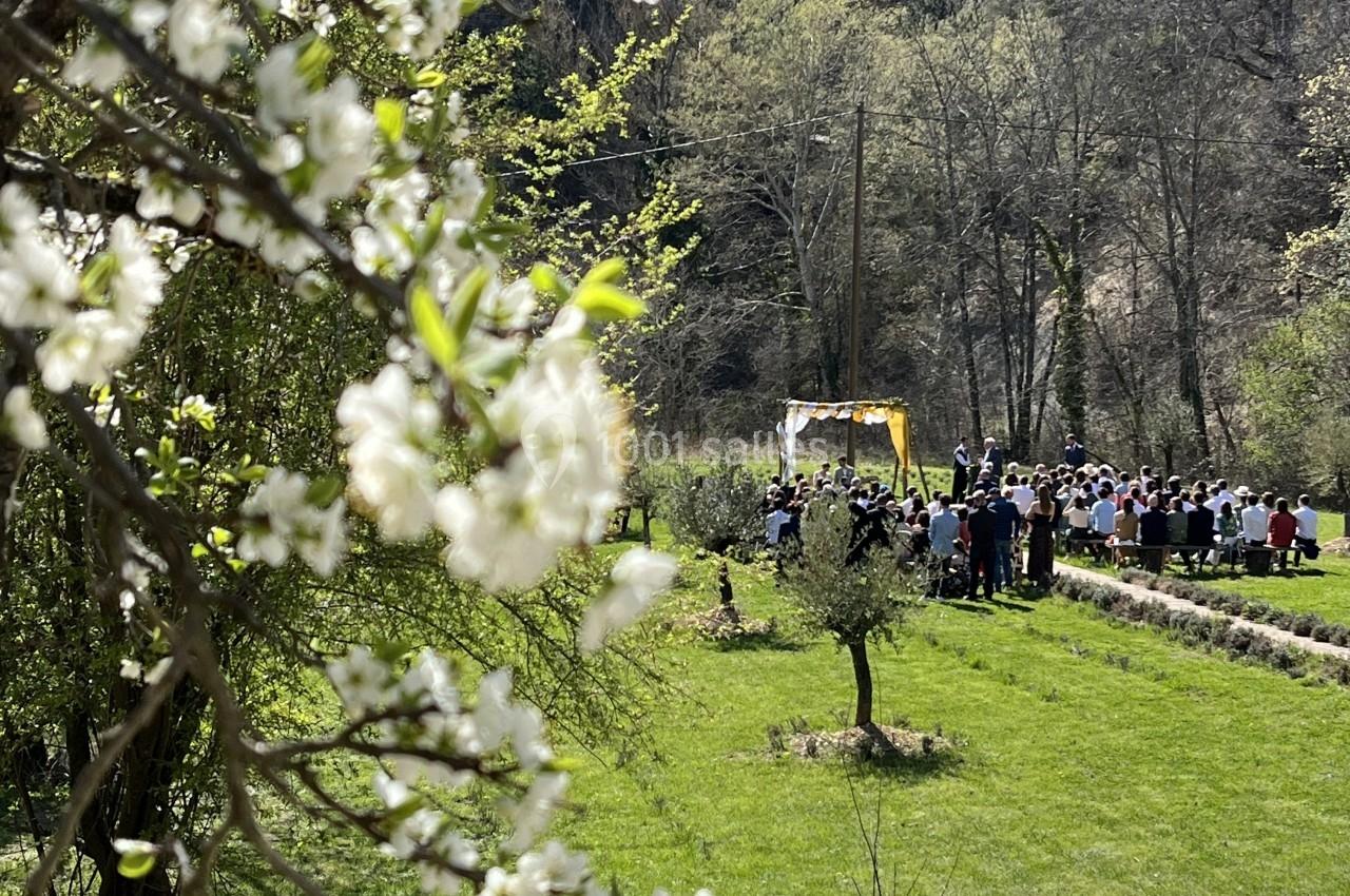 Groupe de personnes rassemblées dans un parc verdoyant, avec des arbres en fleurs au premier plan.