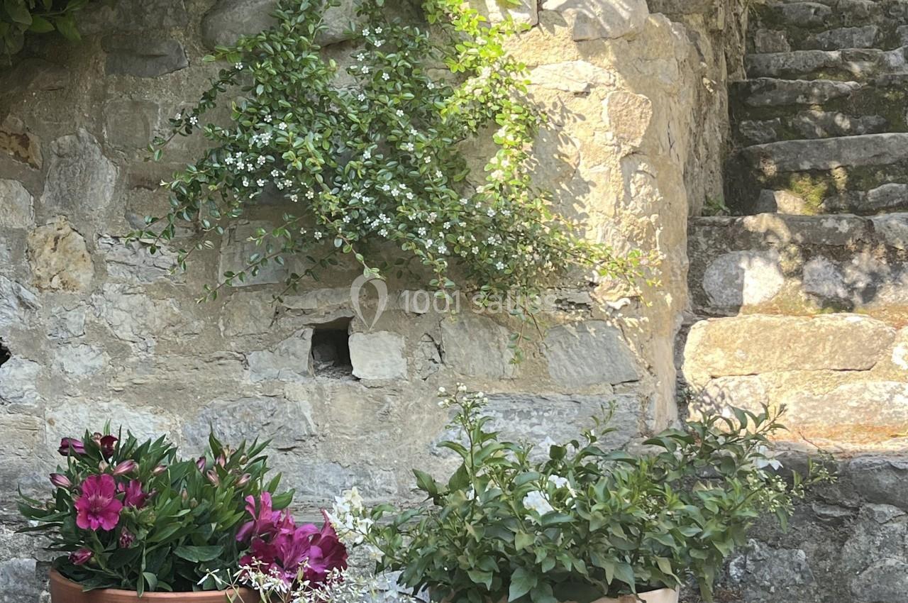 Plantes en pots disposées sur une terrasse en pierre, avec un mur en pierre et des escaliers en arrière-plan.