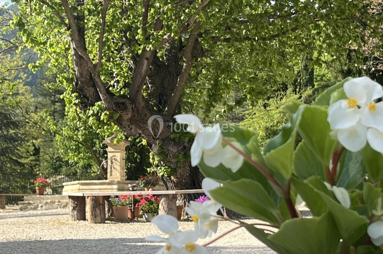 Fleurs blanches en pot au premier plan, avec un arbre et une table en pierre dans un jardin ensoleillé.