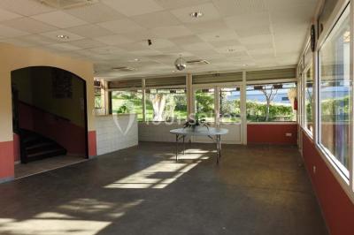 Allée en gravier bordée de pelouse et d'arbustes, menant vers un espace verdoyant.