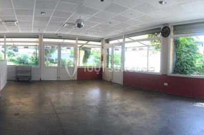 Allée en gravier bordée de pelouse et d'arbustes, menant vers un espace verdoyant.