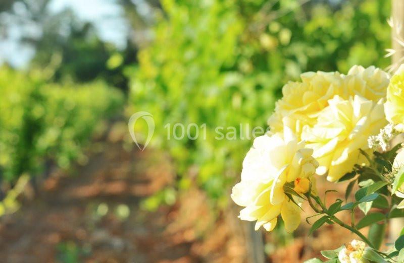 Location salle Draguignan (Var) - Domaine Rabiega #8