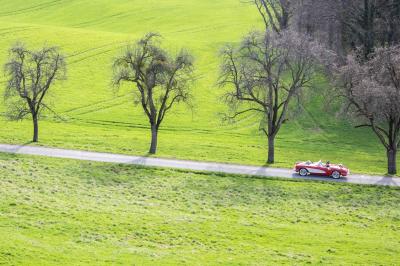 Un grand groupe de personnes en t-shirts verts pose joyeusement devant des véhicules stationnés en extérieur.