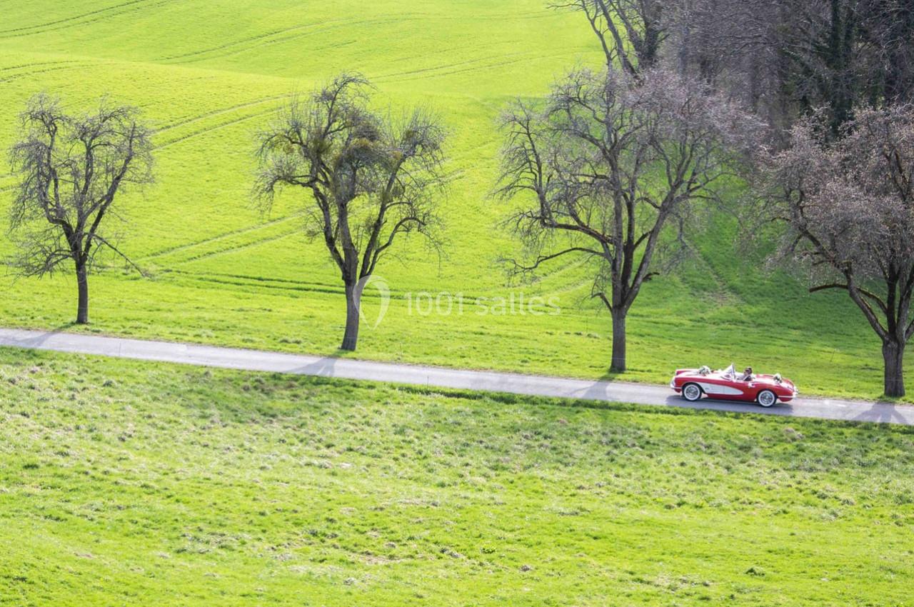 Voiture décapotable rouge circulant sur une route bordée d'arbres, entourée de prairies verdoyantes.