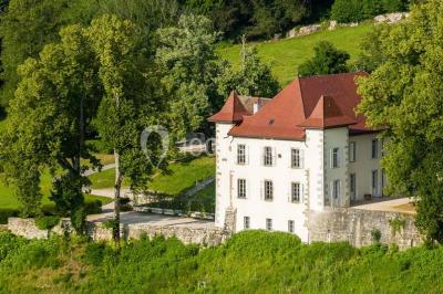 Un grand groupe de personnes en t-shirts verts pose joyeusement devant des véhicules stationnés en extérieur.