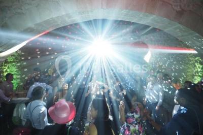 Un grand groupe de personnes en t-shirts verts pose joyeusement devant des véhicules stationnés en extérieur.