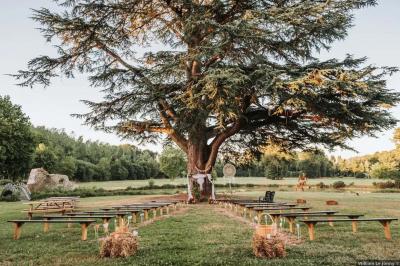 Véranda lumineuse avec murs en briques, grandes baies vitrées noires et vue sur un jardin verdoyant.