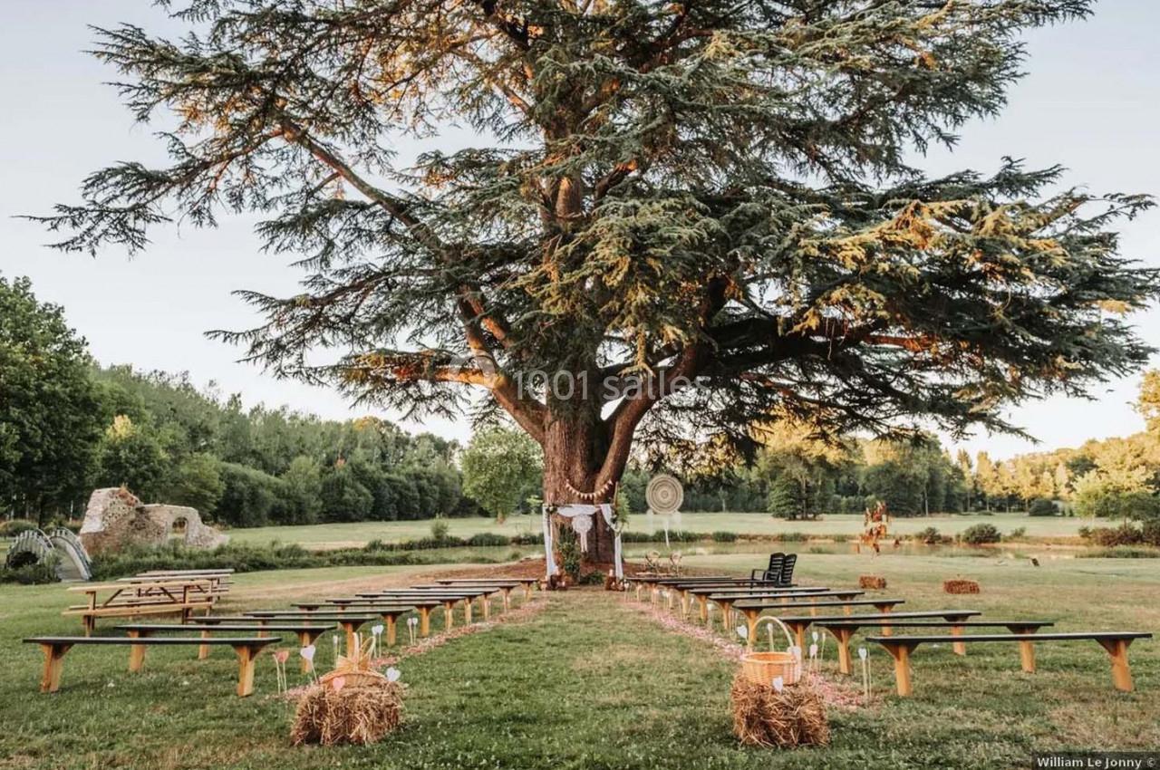 Disposition d'une cérémonie en plein air sous un grand arbre, avec des bancs et des bottes de foin en guise de sièges.