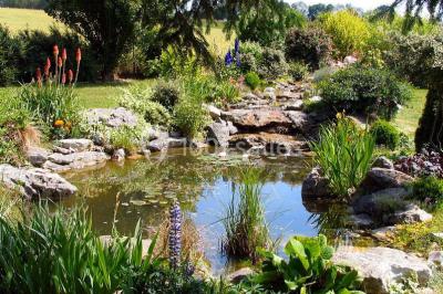Composition décorative en forme d'ananas réalisée avec des légumes frais comme carottes, radis, tomates et chou-fleur.
