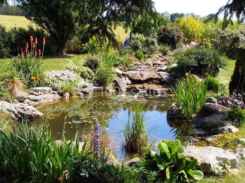 Étang paysager entouré de rochers, plantes fleuries et verdure, avec un champ en arrière-plan.