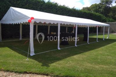 Composition décorative en forme d'ananas réalisée avec des légumes frais comme carottes, radis, tomates et chou-fleur.